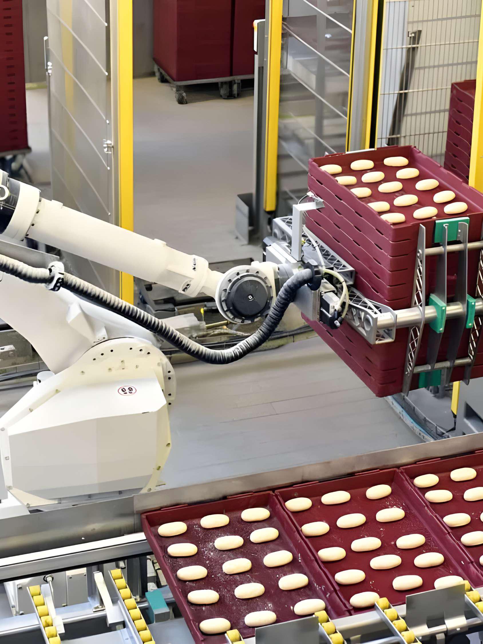 Food & Beverage (F&B)